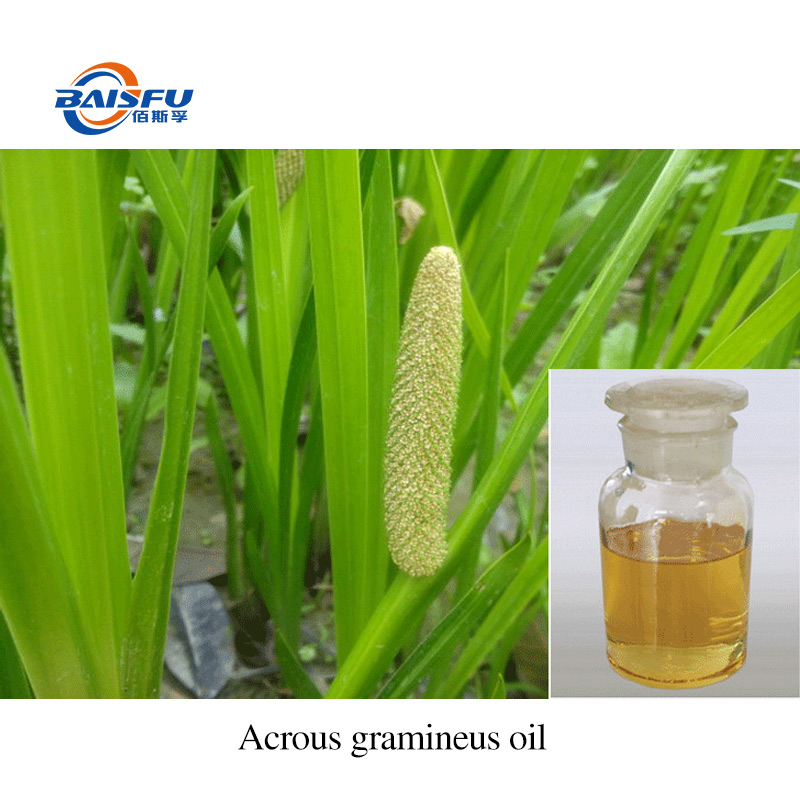 1763607996408736.jpg A27-石菖蒲油-Acrous-gramineus-oil-03.jpg