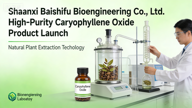 1771913610196530.png c0af3a48247b4c988c93f5e58d72f443.jpeg~tplv-a9rns2rl98-downsize_watermark_1_6_b.png