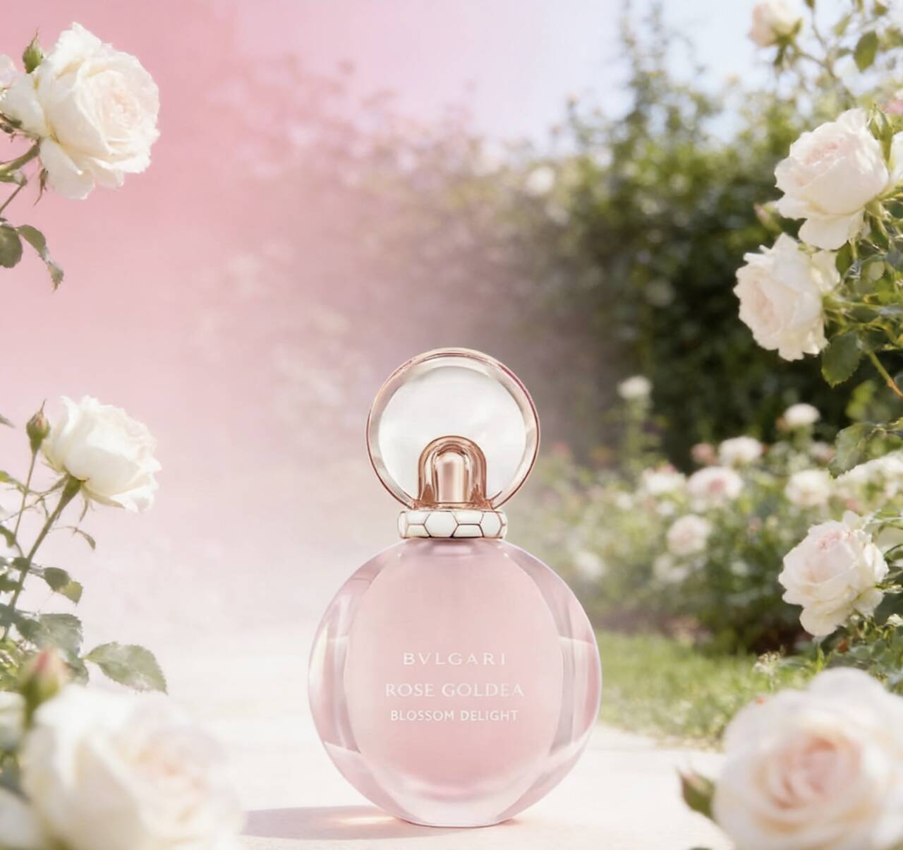 1774335220677498.png d681898af896c8f5d1848dbeb4635e93_720.png