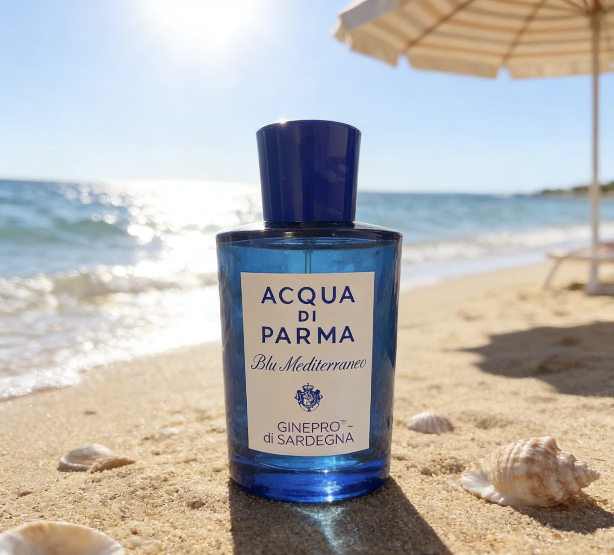 Premium Palma Aqua Blue Mediterranean Collection - Saladenia Rosemary, 2014 Edition