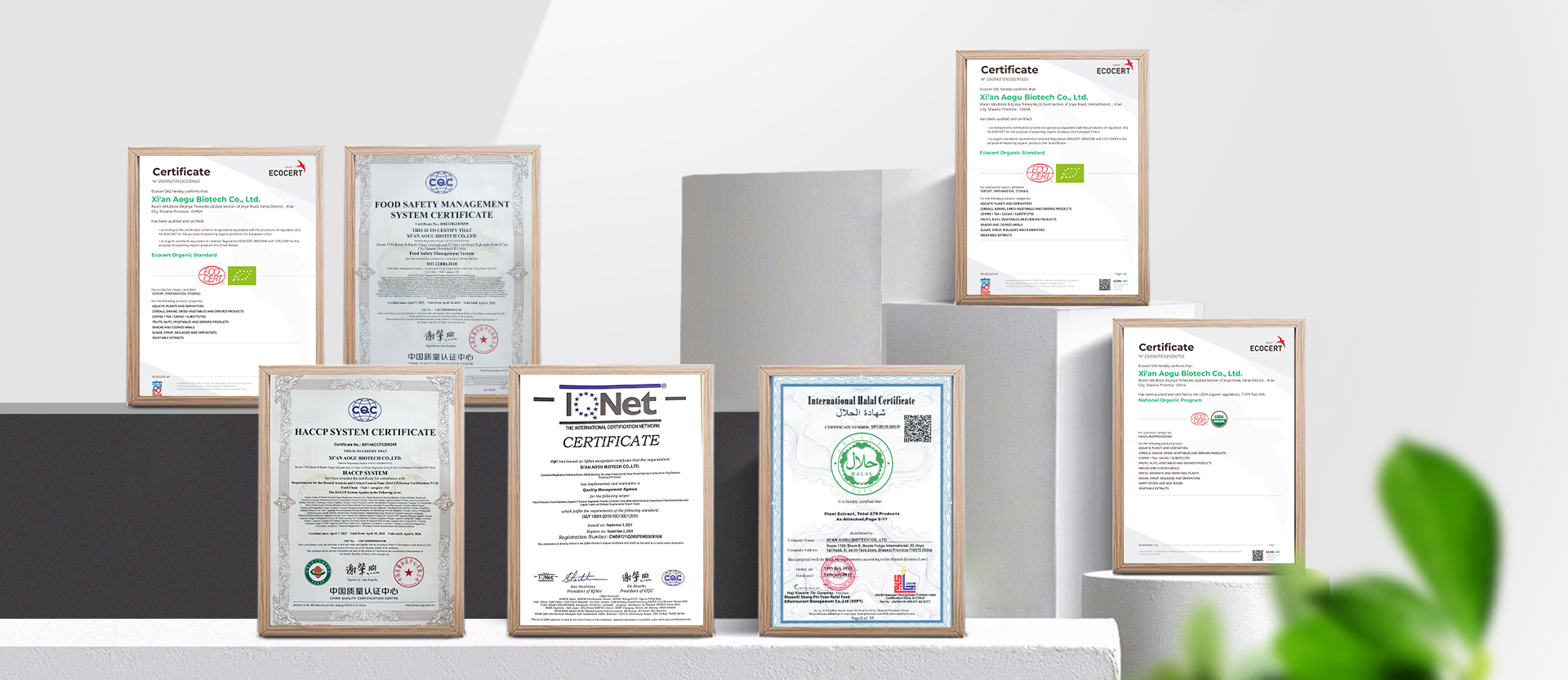 Baisifu - GMP Certified Manufacturer